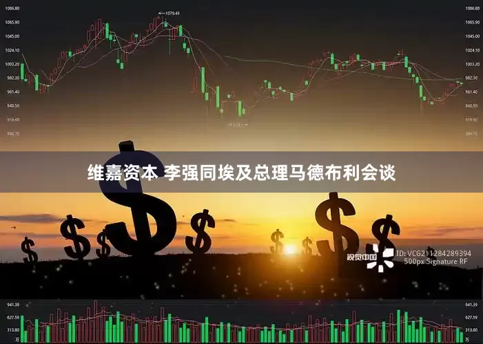维嘉资本 李强同埃及总理马德布利会谈
