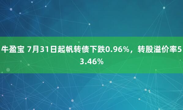 牛盈宝 7月31日起帆转债下跌0.96%，转股溢价率53.46%