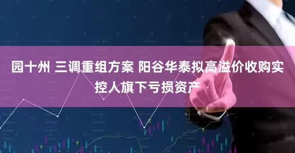 园十州 三调重组方案 阳谷华泰拟高溢价收购实控人旗下亏损资产