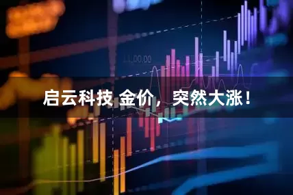 启云科技 金价，突然大涨！