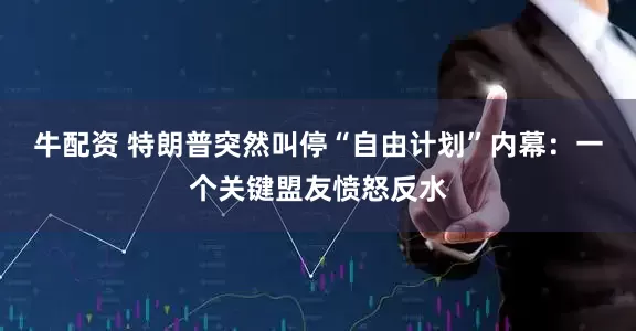 牛配资 特朗普突然叫停“自由计划”内幕：一个关键盟友愤怒反水